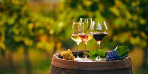 Crafting the Perfect Beer and Cocktail Menu: Tips and Tricks