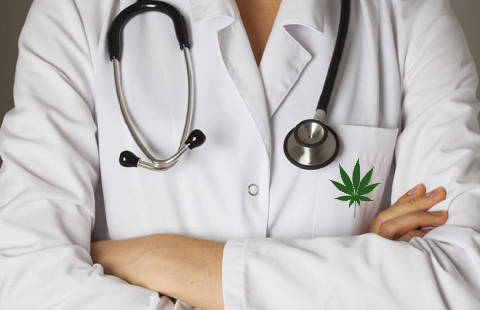 medical cannabis doctors